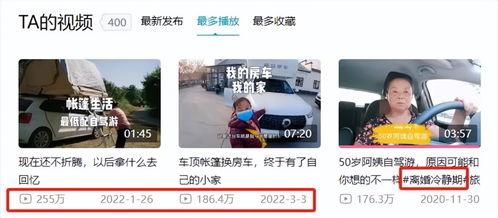 阿姨最新爆料小说网站,揭开小说网站背后的秘密世界