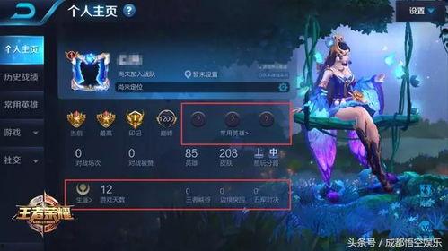 王者5.0最新爆料,神秘英雄登场，游戏体验再升级！