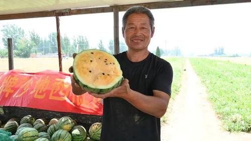 临县吃瓜事件最新爆料,惊人内幕曝光，真相令人震惊！