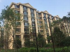 枫丹实景爆料最新视频,沉浸式体验梦幻仙境