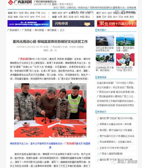 崇阳最新爆料新闻报道网,揭秘事件背后惊人真相